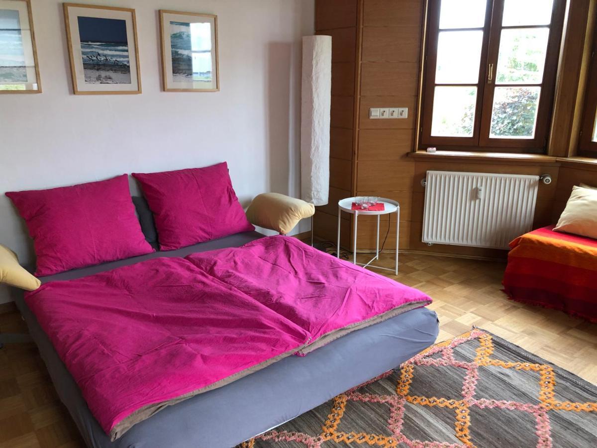 Ferienwohnung Am Donauradwanderweg Riedlingen Exteriör bild